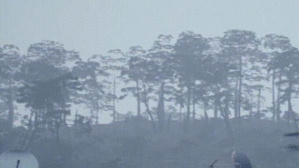 图片 5