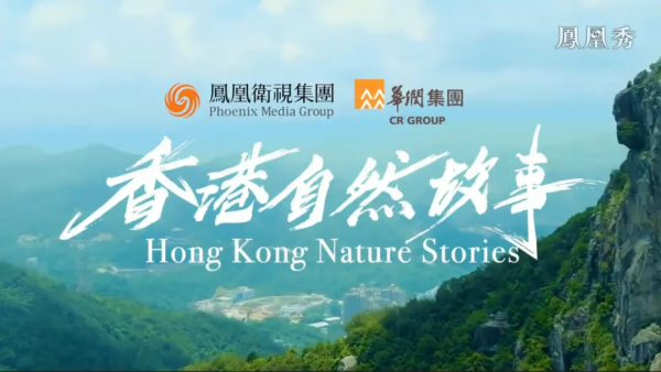 图片 22