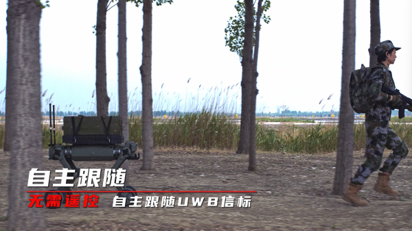智8