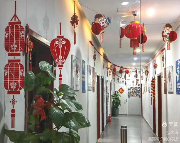 图片3