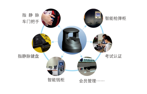 图片12